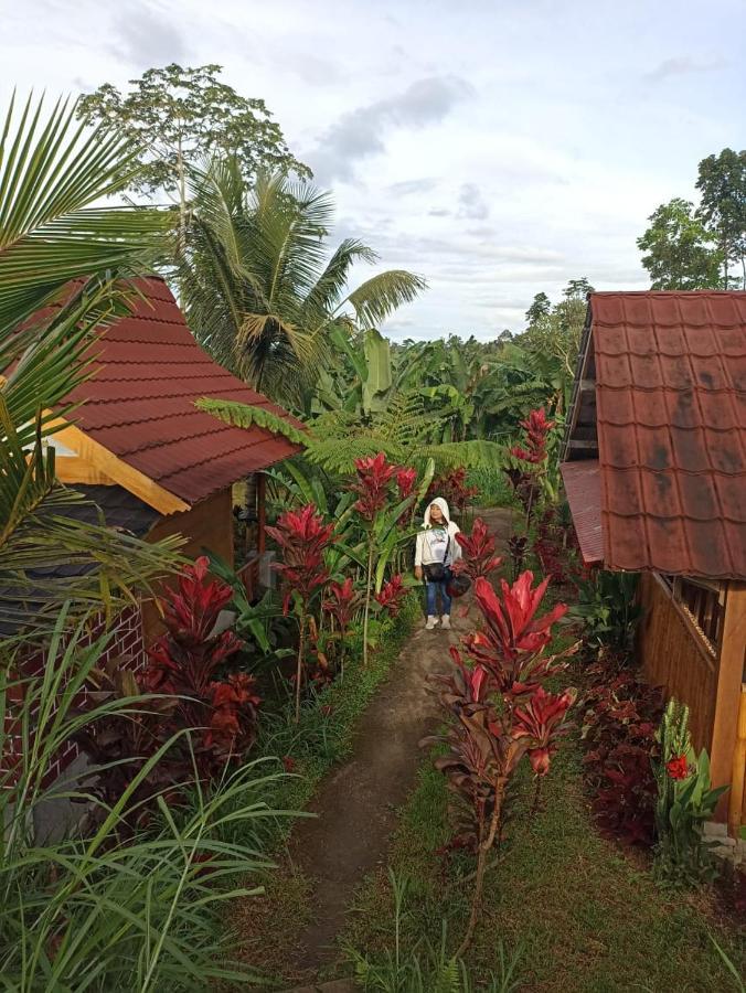 Wina Wani Bungalows Tetebatu Kültér fotó