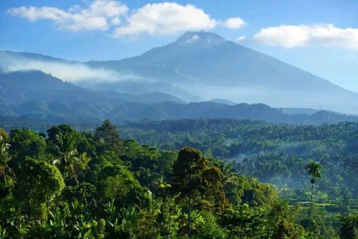 Wina Wani Bungalows Tetebatu Kültér fotó