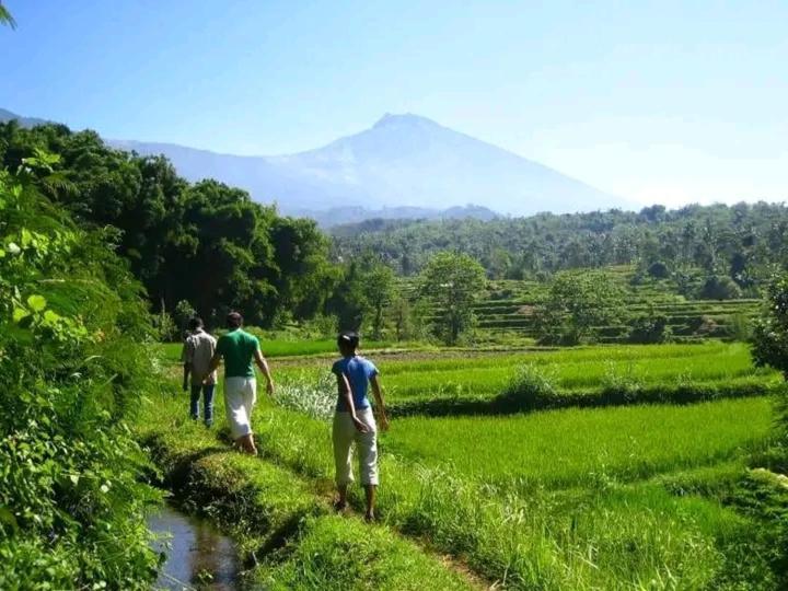 Wina Wani Bungalows Tetebatu Kültér fotó