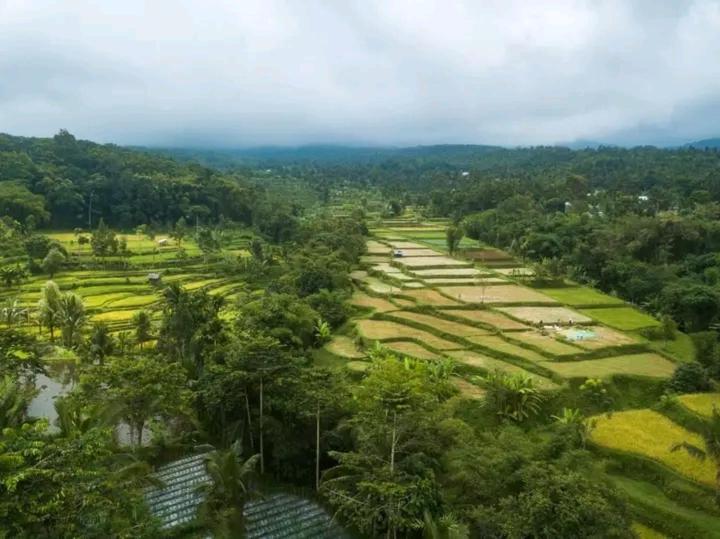 Wina Wani Bungalows Tetebatu Kültér fotó