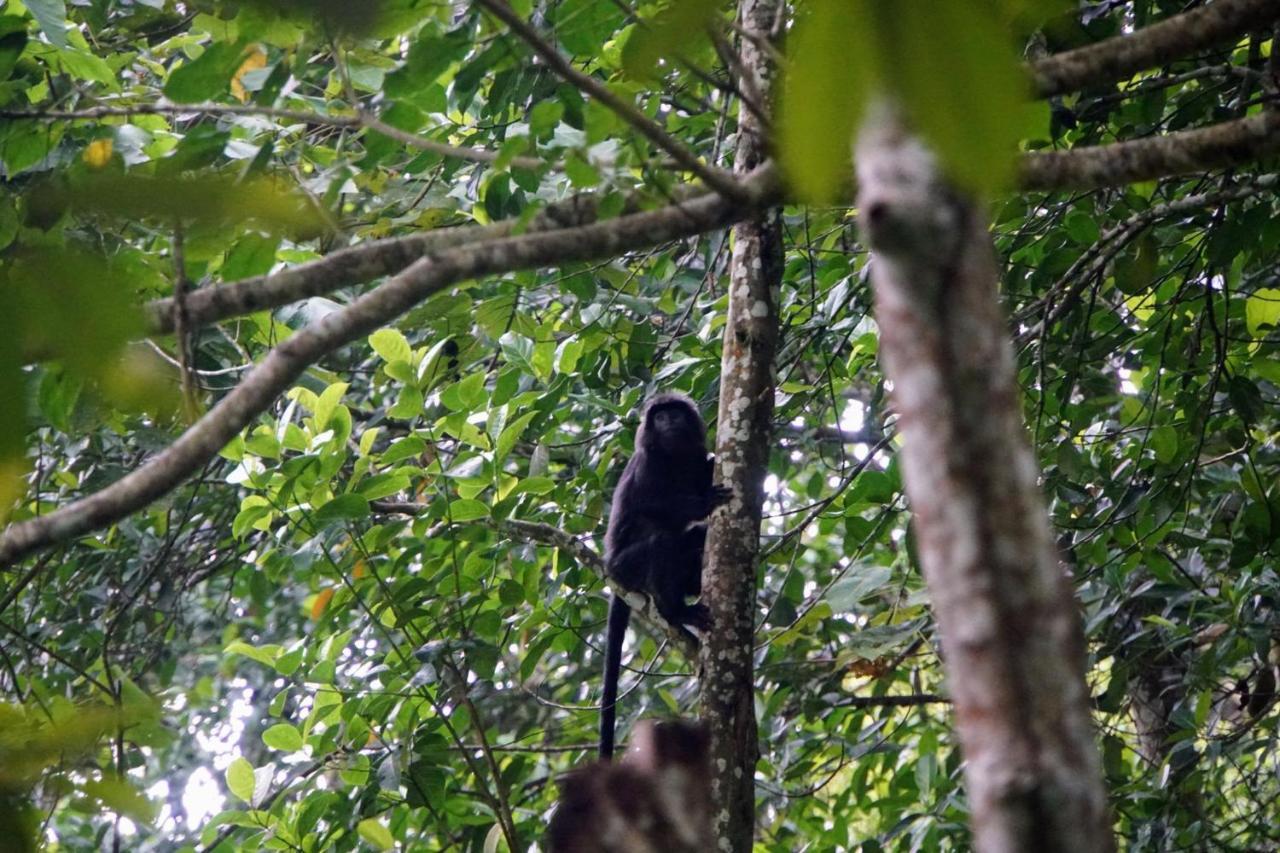 Wina Wani Bungalows Tetebatu Kültér fotó