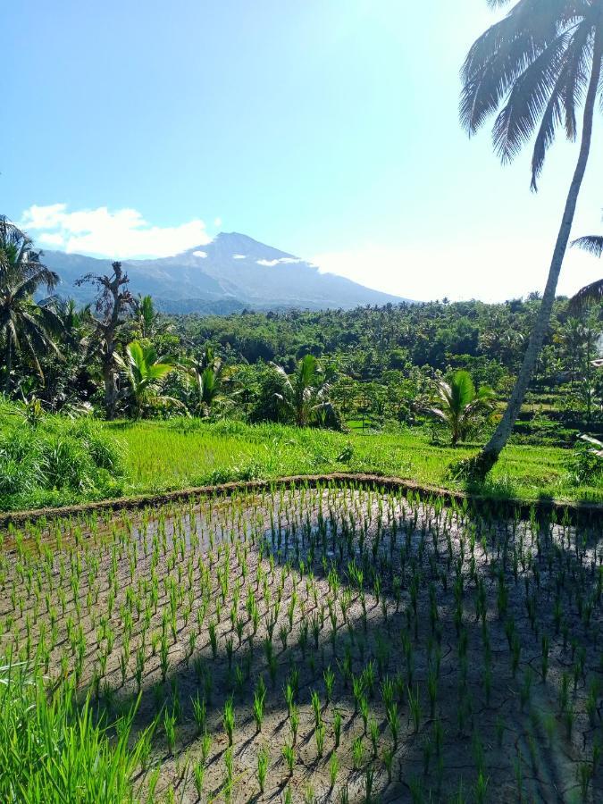 Wina Wani Bungalows Tetebatu Kültér fotó