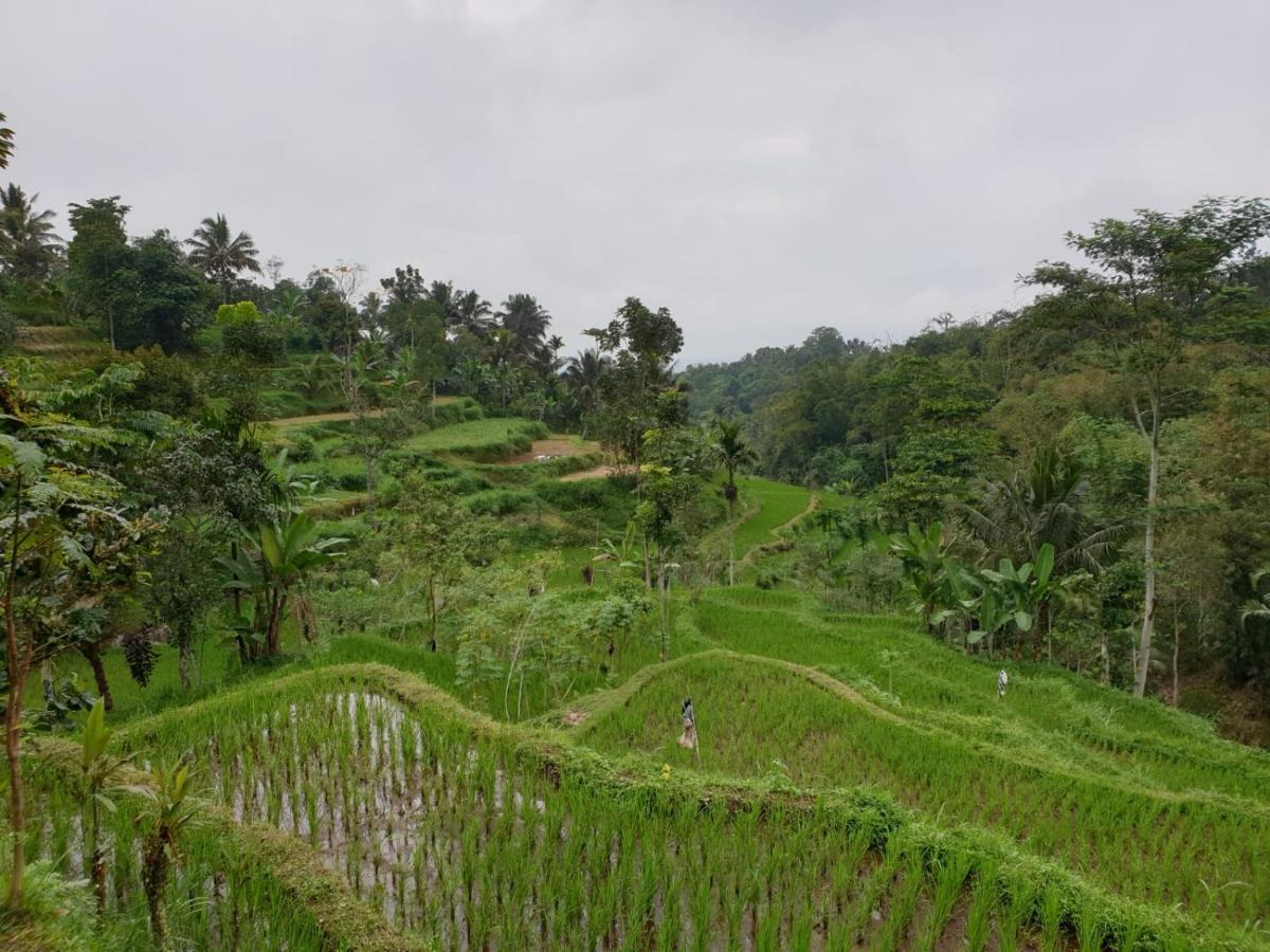 Wina Wani Bungalows Tetebatu Kültér fotó