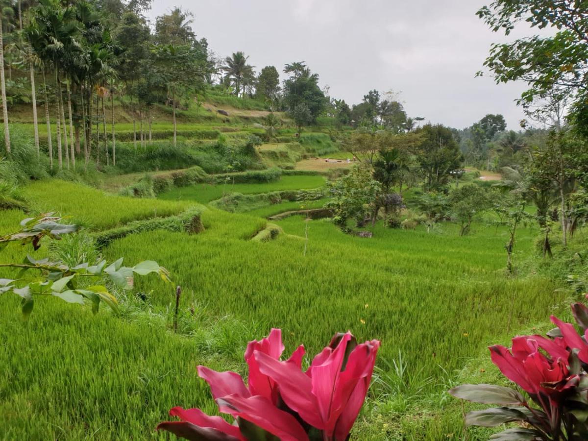 Wina Wani Bungalows Tetebatu Kültér fotó