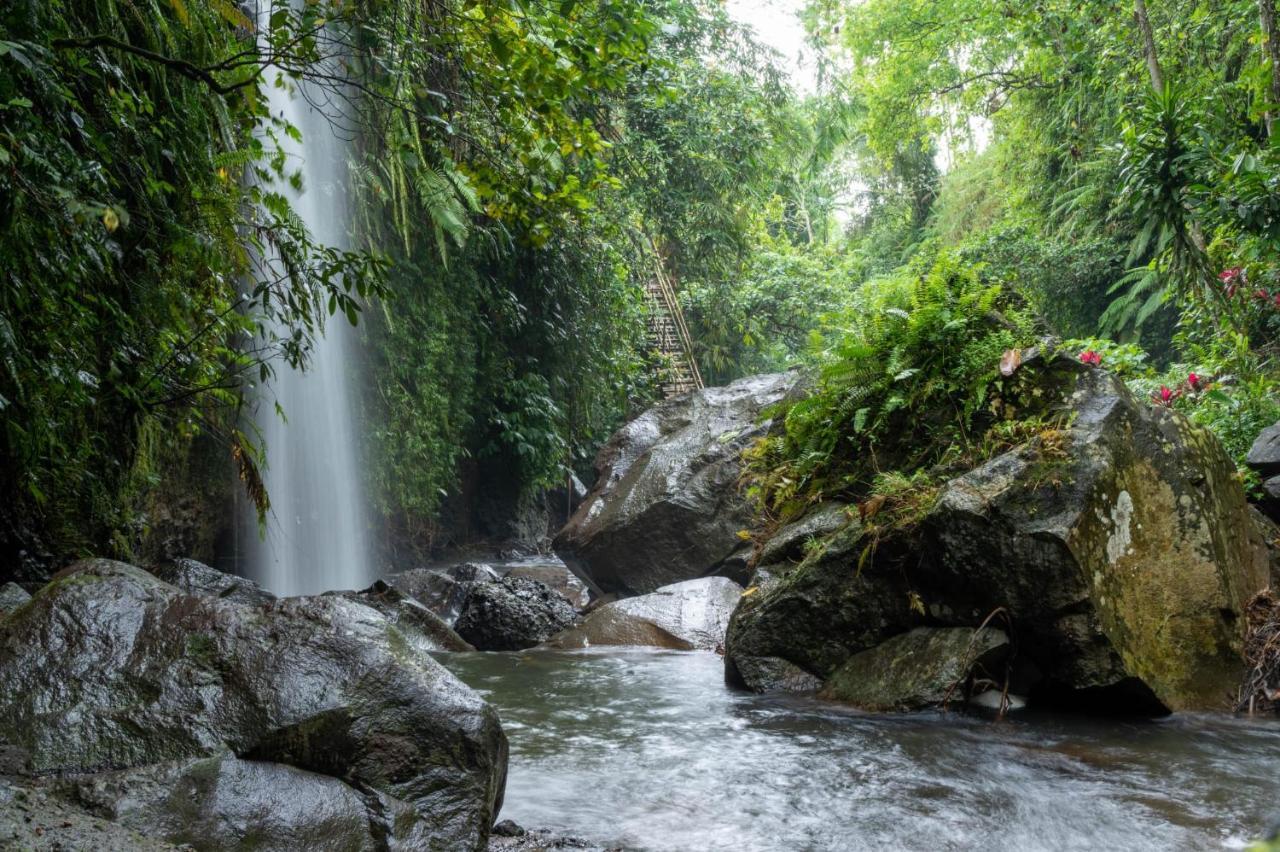 Wina Wani Bungalows Tetebatu Kültér fotó